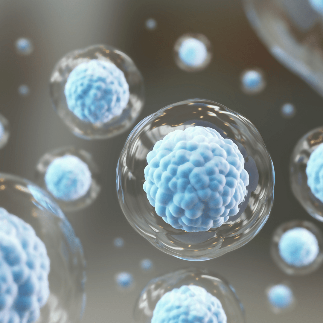 Amniotic Stem Cell Therapy